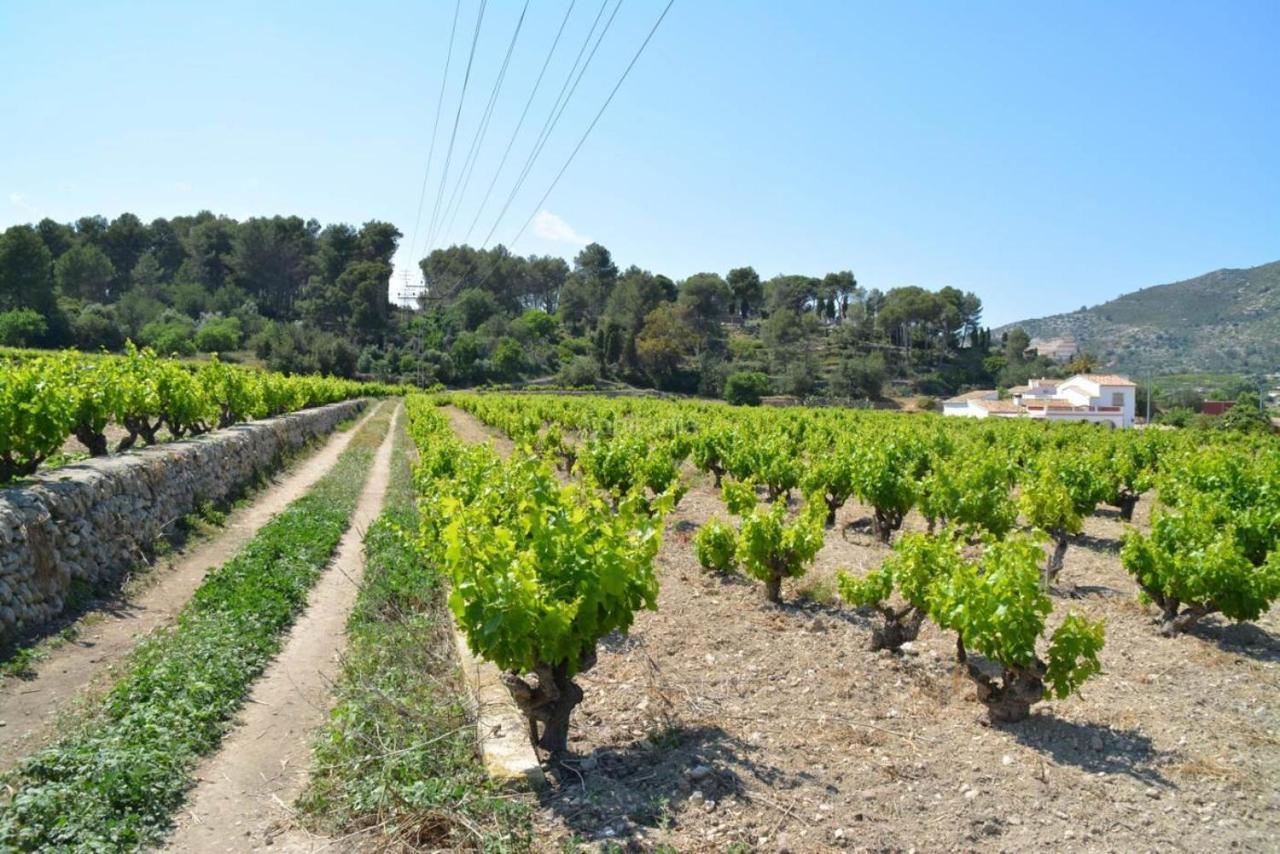 Casa Mistela Bed and Breakfast Jalón Εξωτερικό φωτογραφία